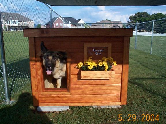 Samson - Tennessee